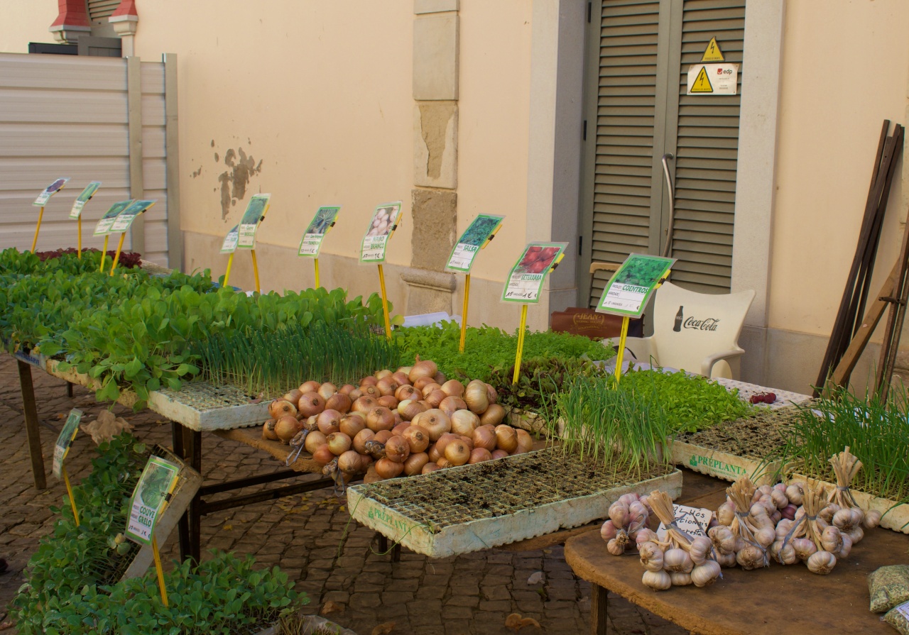markt in Loulé