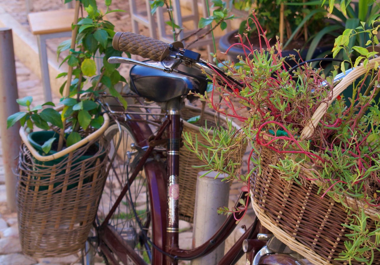 fiets met planten